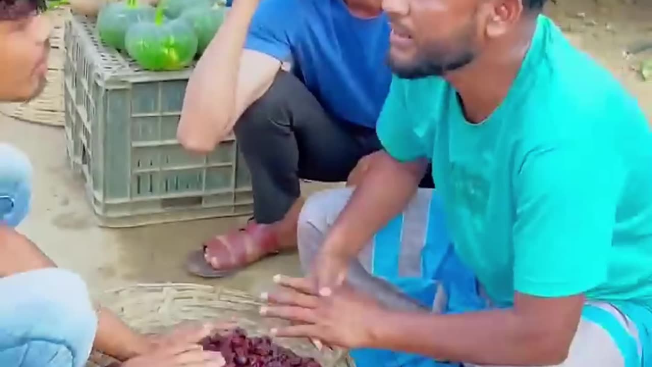 top funny video