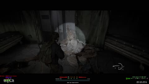 The Last of Us™ Part II Remastered RTX 4080 Super AMD 9800X3D