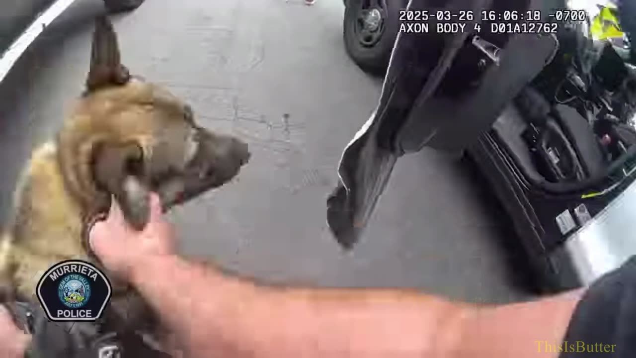 Drone video shows arrest of armed man in Murrieta