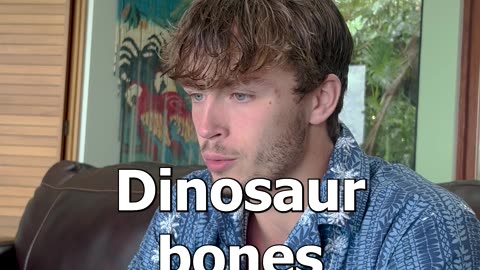 Plastic Dinosaurs