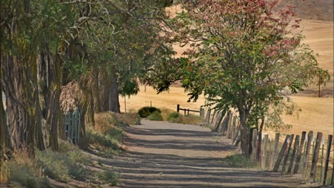 AS I WALK DOWN ONE LAST TIME - C. R. Batchelor © 1919 – ASCAP