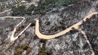 Businesses reel after wildfire sweeps through Patras, Greece