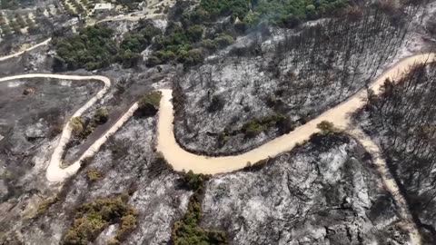 Businesses reel after wildfire sweeps through Patras, Greece