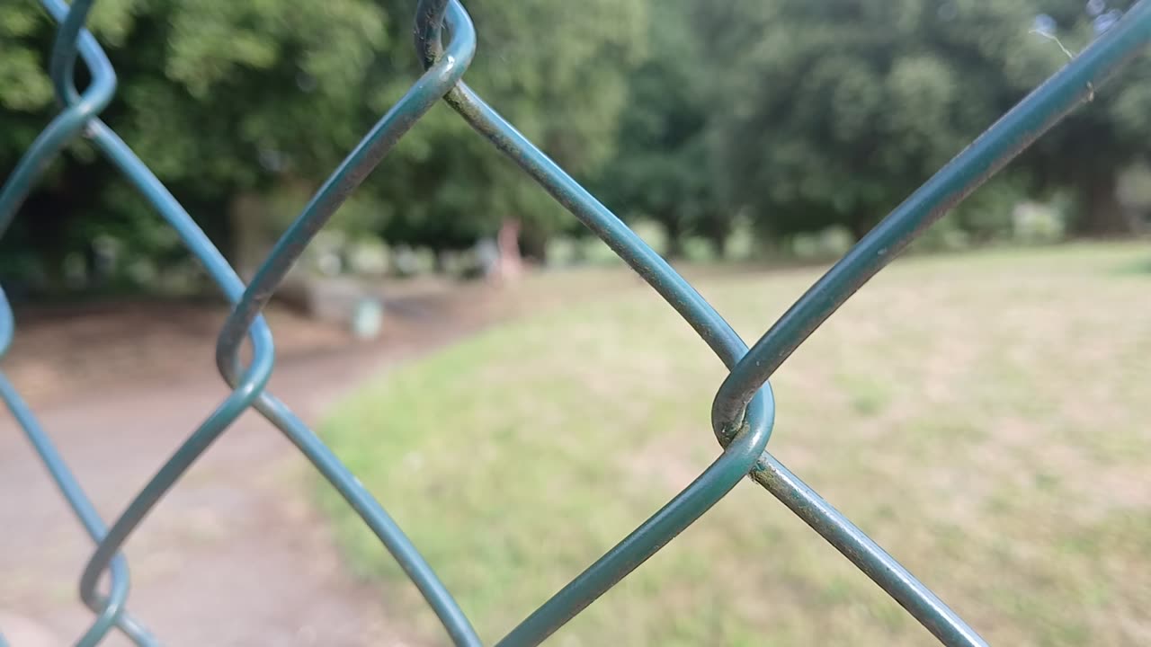 It's astonishing how many people offer to walk the rich demented lady's dog.