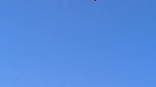 Video: globo aerostático se incendia en el aire y cae