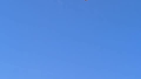 Video: globo aerostático se incendia en el aire y cae