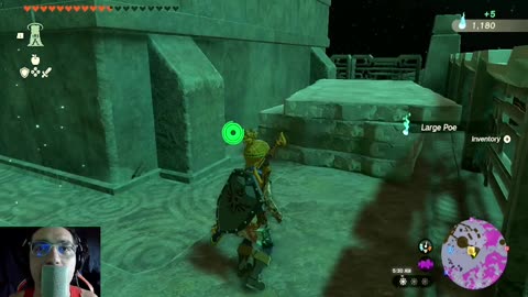 The Legend of Zelda Tears of the Kingdom | Ep. 110 - Treasure Hunting