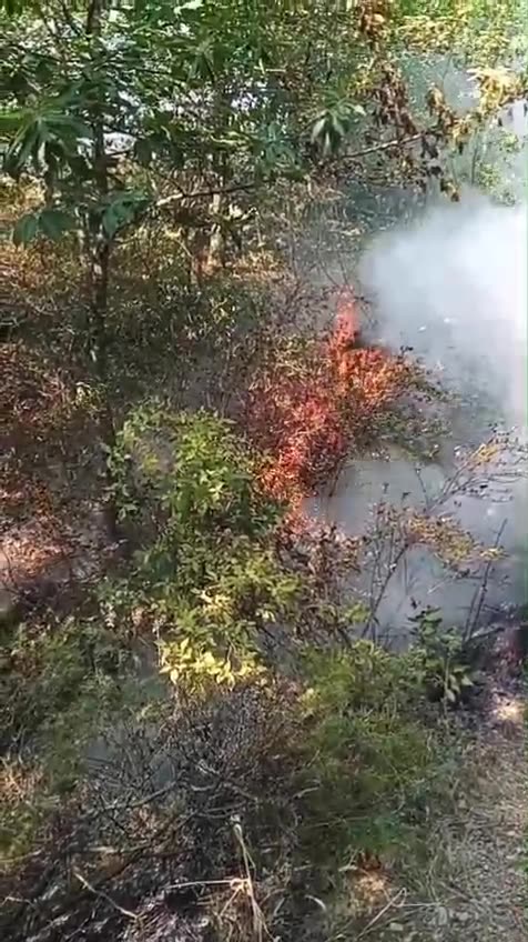 Në Fushë-Arrëz zjarret vijojnë por banesat janë jashtë rrezikut