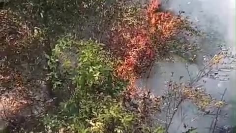 Në Fushë-Arrëz zjarret vijojnë por banesat janë jashtë rrezikut