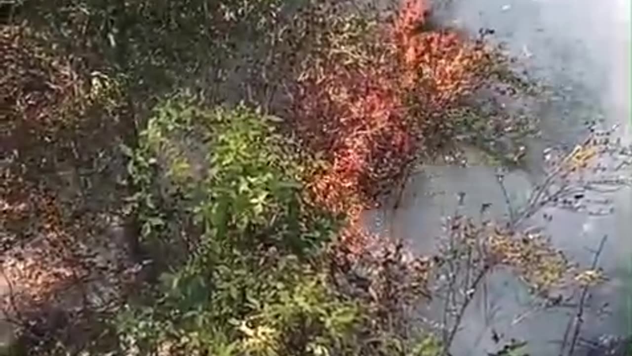 Në Fushë-Arrëz zjarret vijojnë por banesat janë jashtë rrezikut