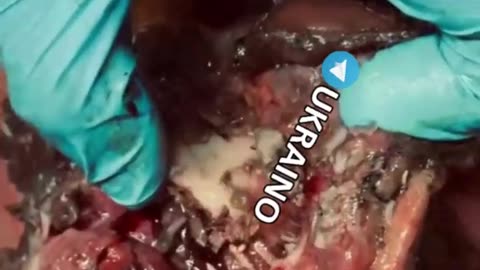 Ukraine war combat footage 11/9/25