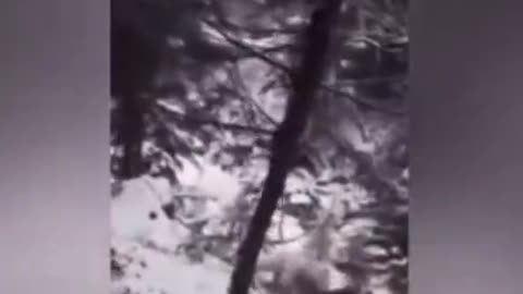😱❄️ Yeti Caught on Camera! | TheHauntingHour