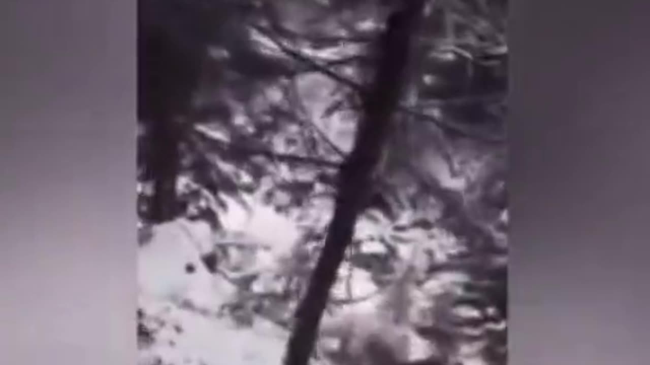 😱❄️ Yeti Caught on Camera! | TheHauntingHour