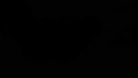 303. Maranatha Our Lord Is Coming: Our Redemption Draweth Nigh, October 30, by Ellen G White