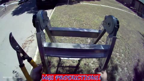 LAWN WORK 06-2025