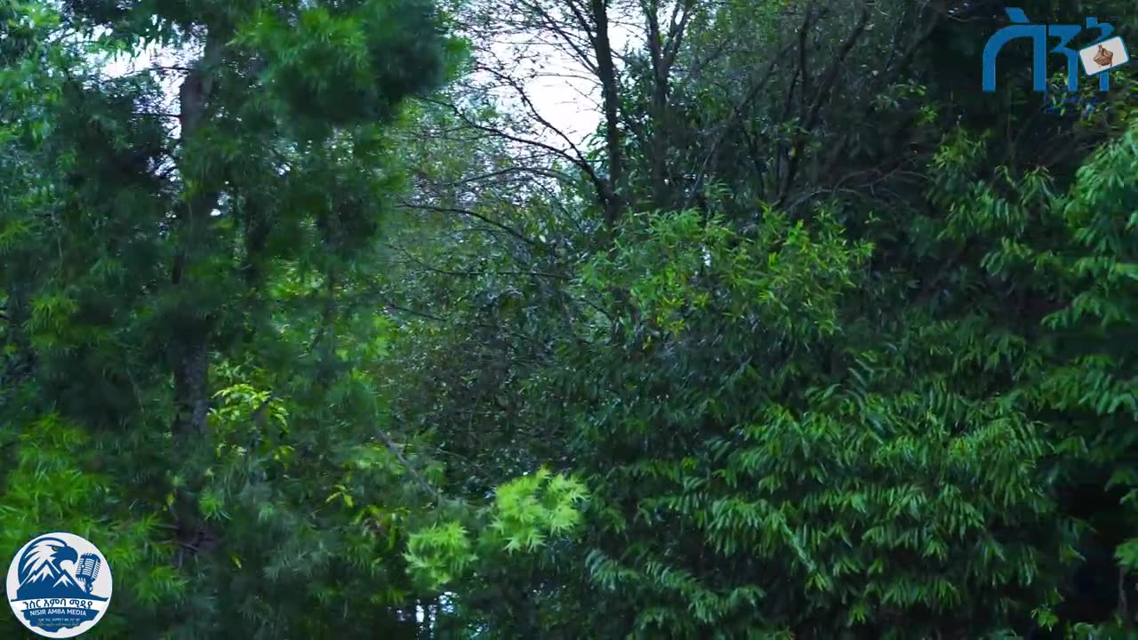 ታሪካዊት ጣና ሃይቅ ደብረ-ማሪያም ገዳም