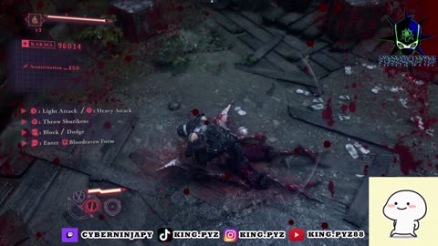 Ninja Gaiden 4 Gameplay vid 22