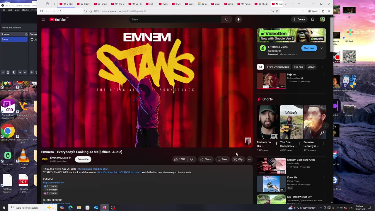 Eminem - Everybody is Looking at Me