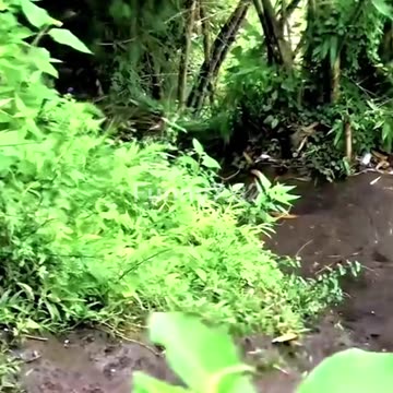 Big Fails Competition