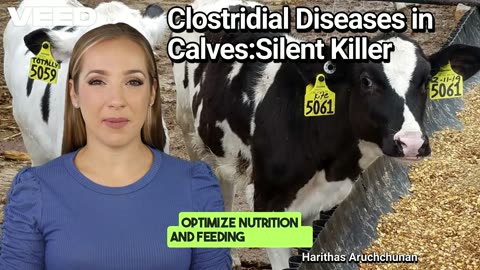 Protect Your Calves:Stop Clostridial Diseases