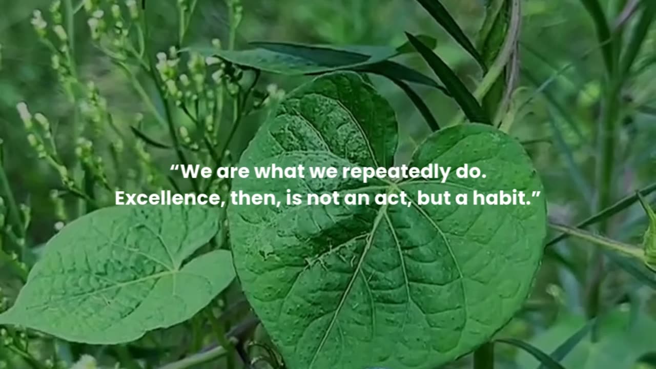 We are what we repeatedly do. Excellence, then, is not an act, but a habit.