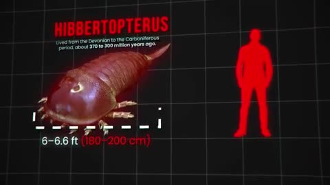 The Scariest Insects in History Lived 300 Million Years Ago