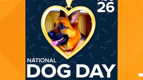 Honoring National Dog Day: Service Dogs for Wounded Veterans🐾