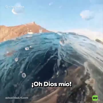 Una buceadora se salva por segundos de una enorme ballena
