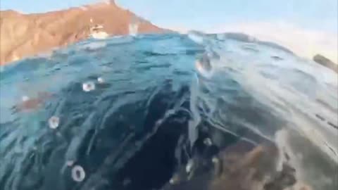 Una buceadora se salva por segundos de una enorme ballena