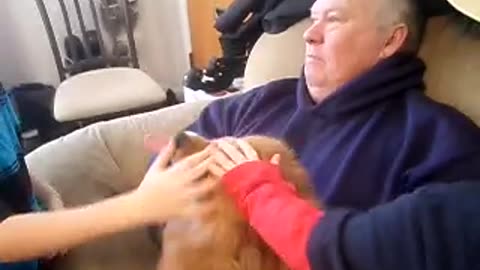 Harley the 3 legged dog gets lots of love for the holidays!