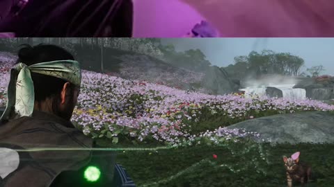 Cats in Ghost of Tsushima 😺🔥