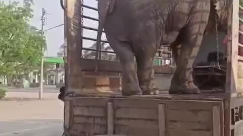 Not in Sri Lanka !