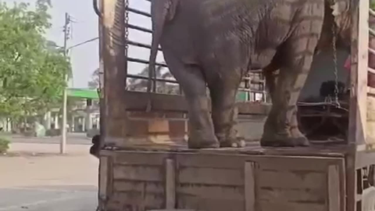 Not in Sri Lanka !