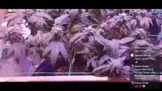 Grow420 Episode 90 October 28th, 2025