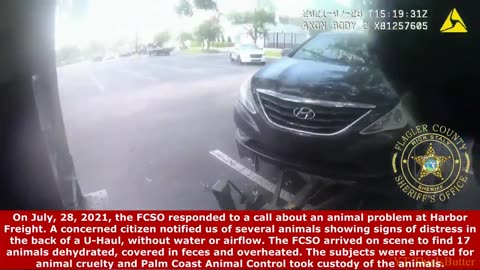 BODYCAM: 17 Cats & Dogs Rescued From Sweltering U-Haul, 2 Arrested in Flagler County