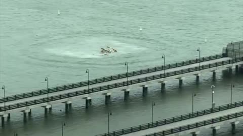 Helicóptero se desploma en el río Hudson de Nueva York