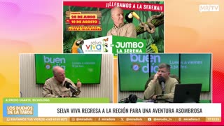 LDT 19/06/2025