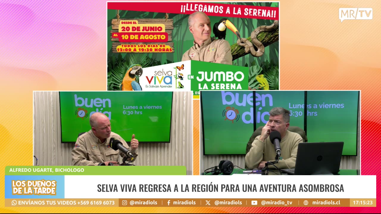 LDT 19/06/2025