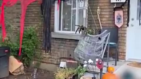 Palestinian refugee attacks 'White People' for erecting Halloween decorations