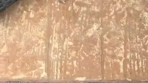 😂🙌 He Tried to Help, But Things Went Hilariously Wrong! | FunFM