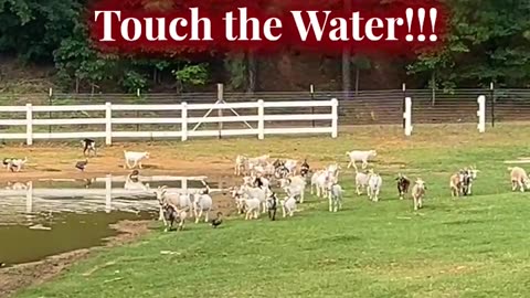 Be Careful not to Touch the Water