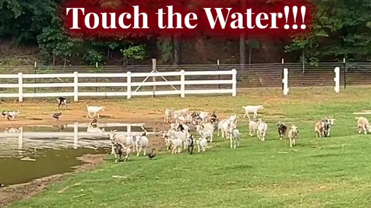 Be Careful not to Touch the Water