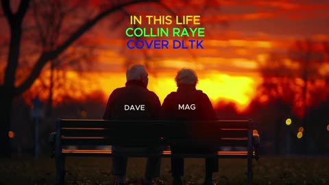 IN THIS LIFE COLLIN RAYE COVER DLTK
