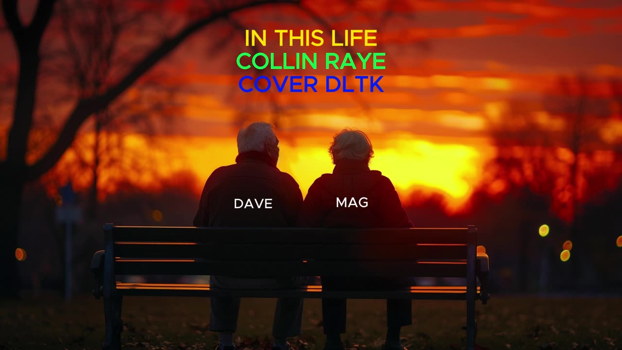 IN THIS LIFE COLLIN RAYE COVER DLTK