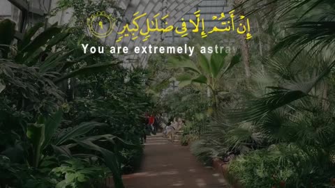 They Will Cry: If Only We Had Listened! | Surah Al-Mulk 9–11 | Wake-Up Call from the Qur’an