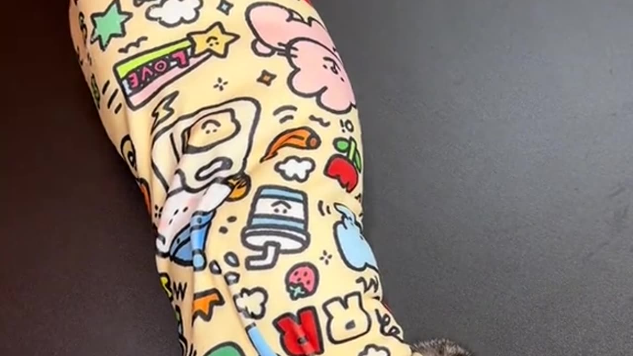 animals