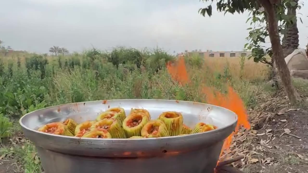 Stuffed zucchini in the countryside