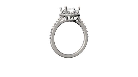 0012 -Ring
