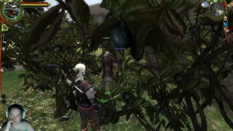 continuamos con the witcher 1 parte 3