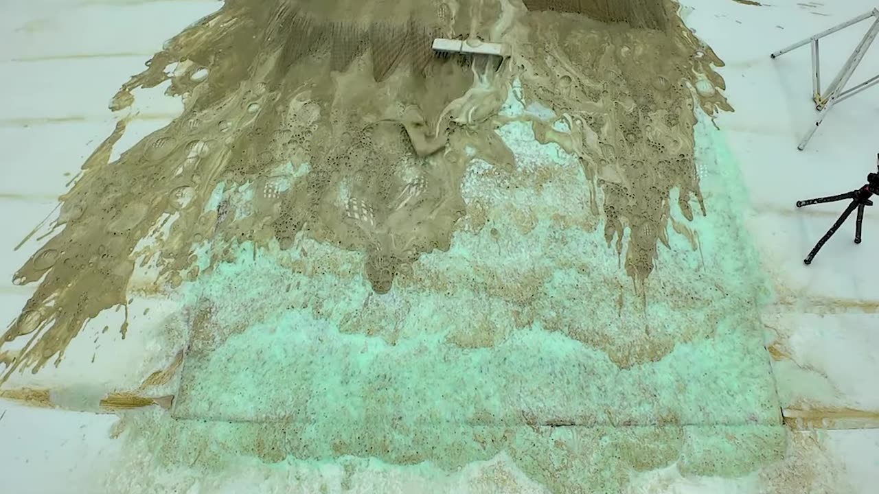 Deep Clean Delight: Satisfying Carpet Cleaning In Action - Satisfying ASMR #shorts
